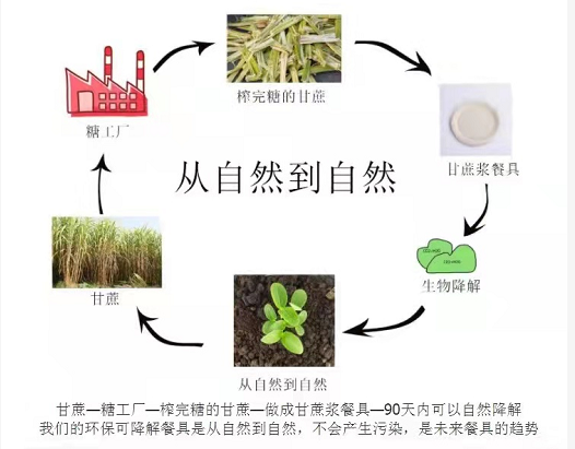 環保紙漿餐具多長時間可以完全降解？